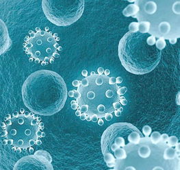 生物技術(shù)與公眾理解科學(xué) 以英國為例的分析