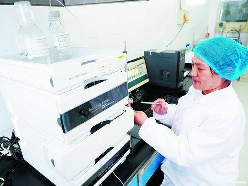 德州瑞康生物科技 深耕研發，高端產品暢銷海外