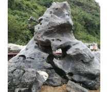 太湖石(假山)產品庫——價格、圖片與廠家信息一覽